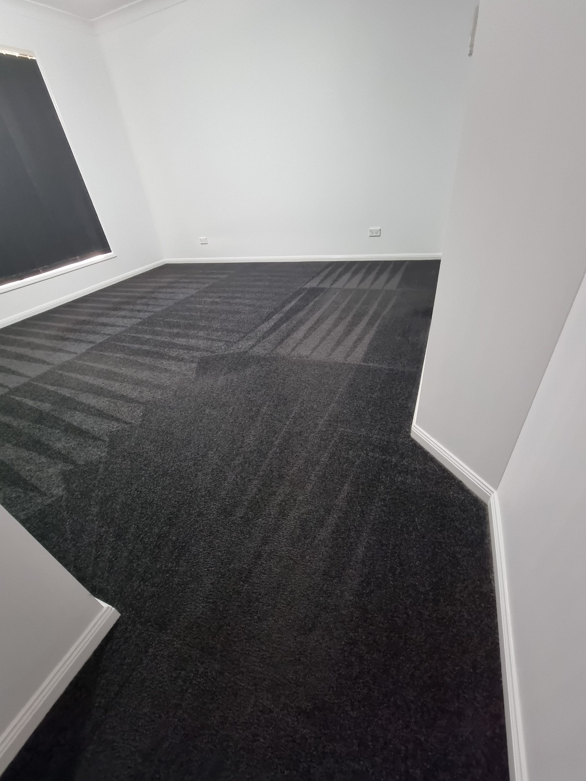 carpet cleaning
