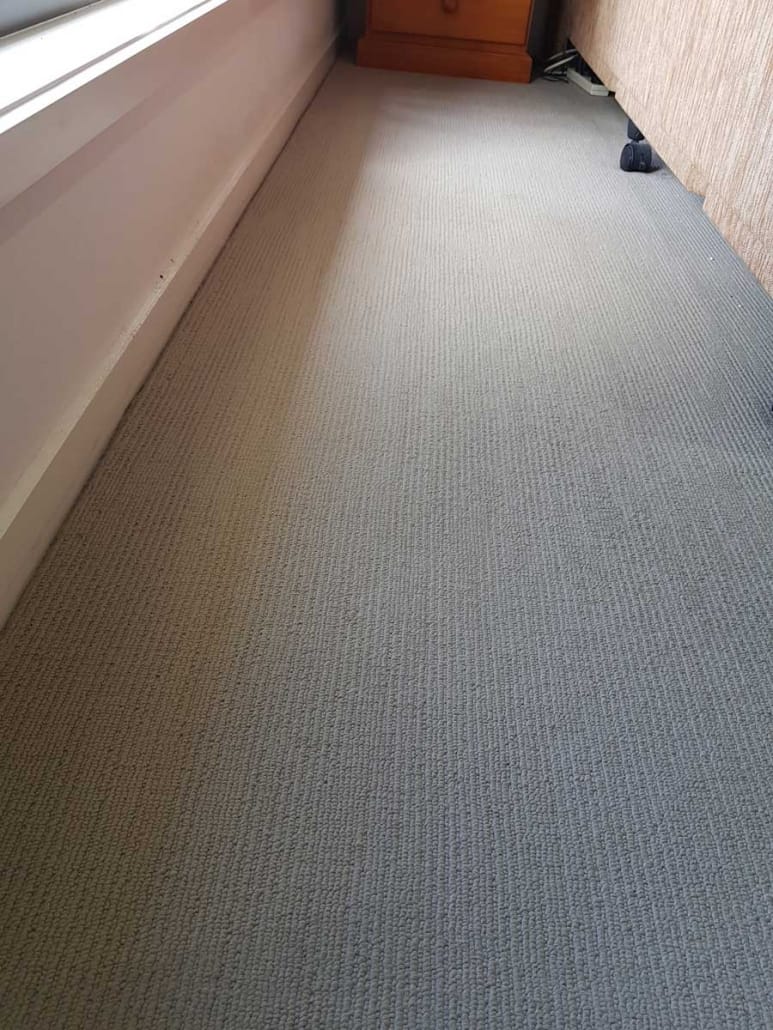 carpet-after-cleaning
